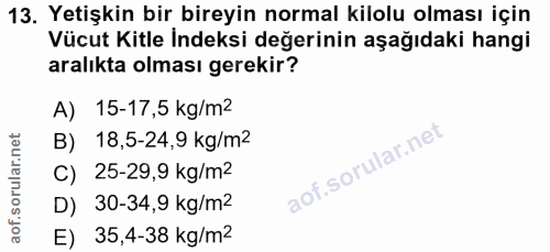 Soru 13