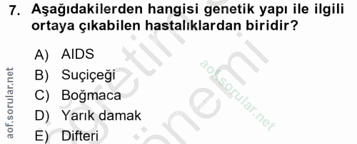 Soru 7