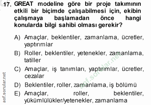 Soru 17