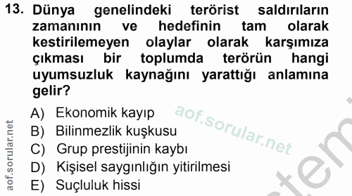 Soru 13