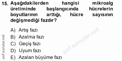 Soru 15