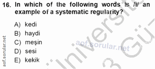 Soru 16