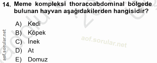 Soru 14