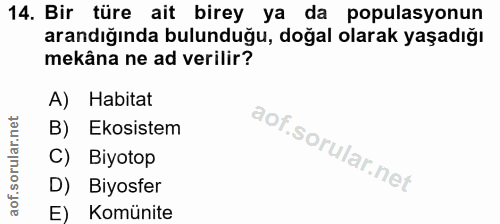 Soru 14