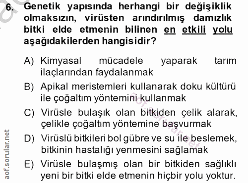 Soru 6