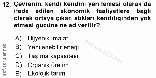 Soru 12