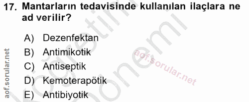 Soru 17