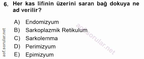Soru 6