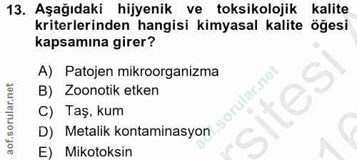 Soru 13