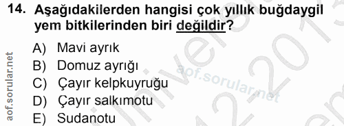 Soru 14
