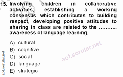 Soru 15