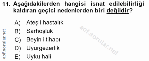 Soru 11