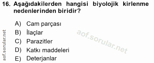 Soru 16