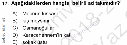 Soru 17