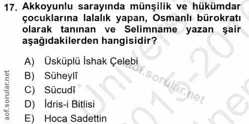 Soru 17