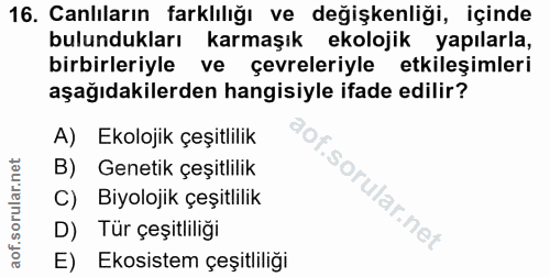 Soru 16