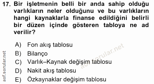 Soru 17