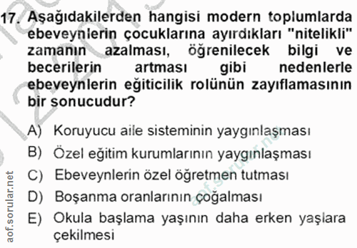 Soru 17