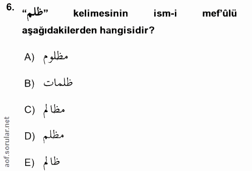 Soru 6