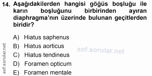Soru 14