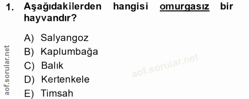Soru 1