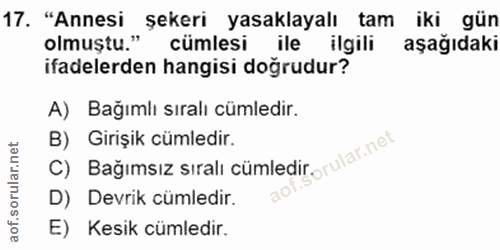 Soru 17