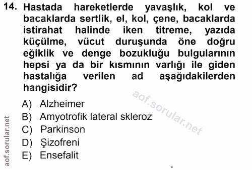 Soru 14