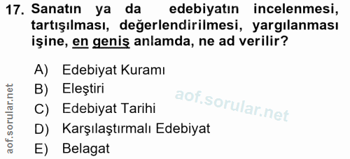 Soru 17