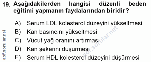 Soru 19