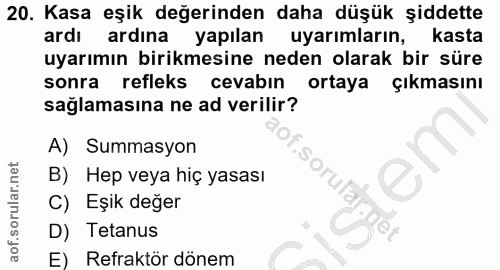 Soru 20