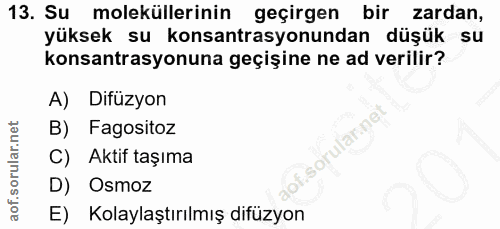 Soru 13