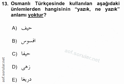 Soru 13