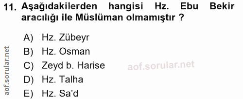 Soru 11