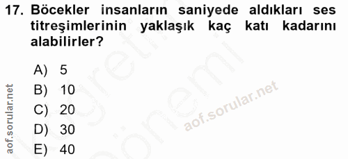 Soru 17