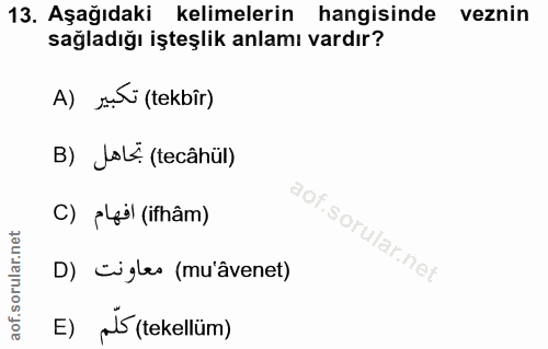 Soru 13