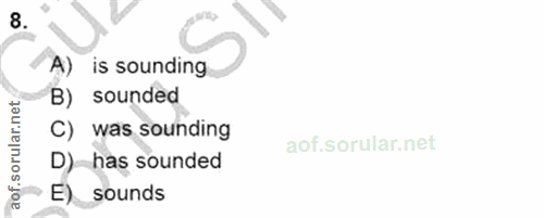 Soru 8