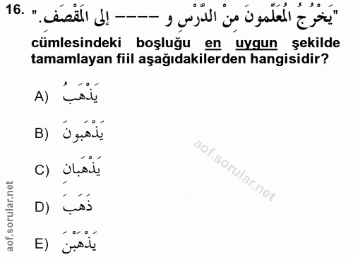 Soru 16