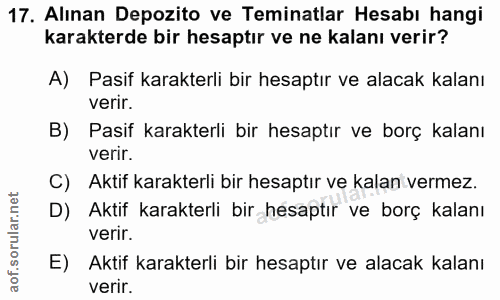 Soru 17