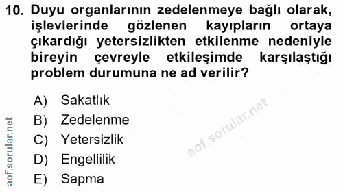 Soru 10