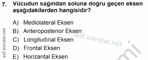 Soru 7