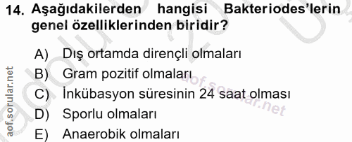 Soru 14