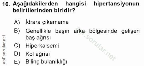 Soru 16
