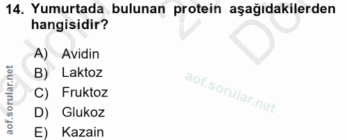 Soru 14