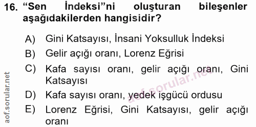 Soru 16