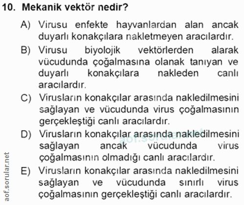 Soru 10