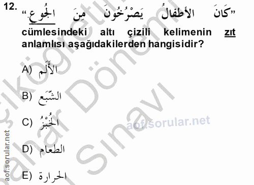 Soru 12