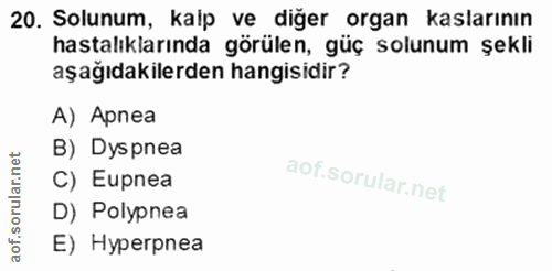 Soru 20