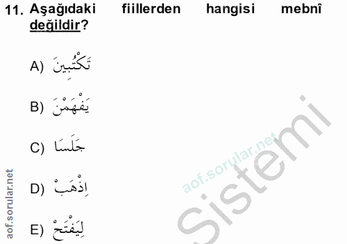 Soru 11