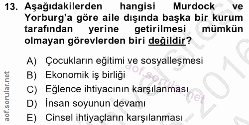 Soru 13