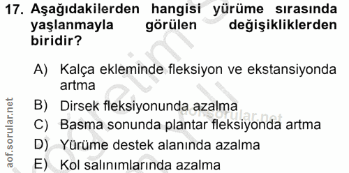 Soru 17